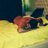 Fatinaz13