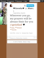 1screenshot20121007102948