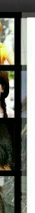AmoRao4--1-1-1-3