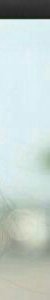AmoRao4--1-2-2-3
