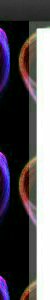 Geneliatic--1-1-1-3
