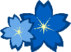 Blue-flower-b